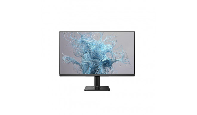 Monitor 24E2N1100LB VA 100Hz HDMI VGA