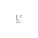 Bosch BrushCut cordless grass shear 2.4 mm 36 V Lithium-Ion (Li-Ion) Green