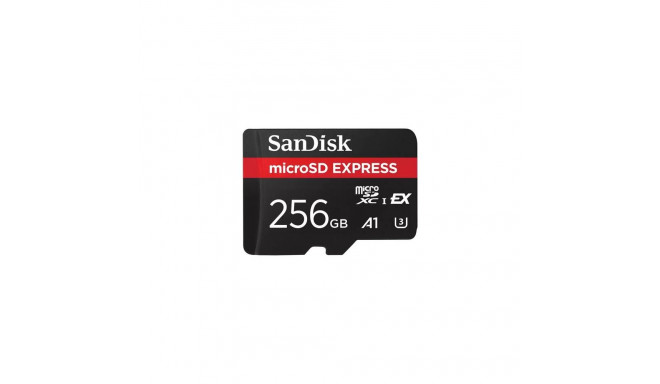 SanDisk Express 256 GB MicroSDXC UHS-I