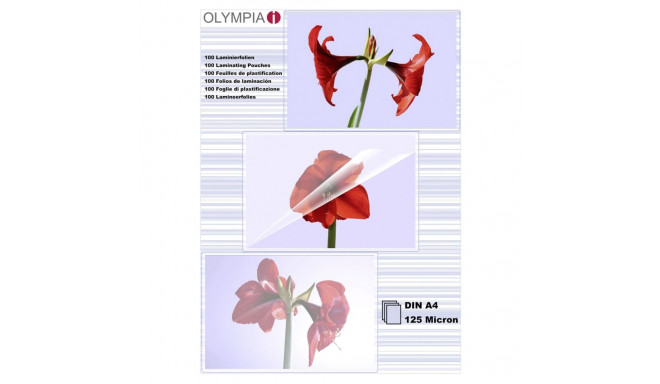 1x100 Olympia Laminating pouches DIN A4 125 micron           9176