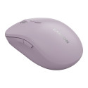 CANYON mouse MW-12 Dual band Wireless Pink