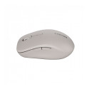CANYON mouse MW-12 Dual band Wireless Beige