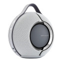 Devialet Mania Light Grey with dock