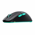 "CHERRY XTRFY M64 Wireless. Black Wireless Maus"