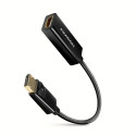 AXAGON RVD-HI14N DisplayPort HDMI 1.4 adapter 4K/30Hz