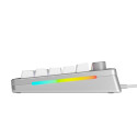 Glorious Gaming GMMK 3 PRO 75% eelkokkupandud juhtmega hõbedane – US