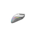Glorious Gaming Glorious Model D 2 Wireless - Matte White