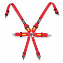 Harness with 6 fastening points Fia Racing OCC Motorsport - Black