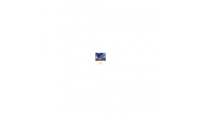 Art ER T100 4:3 manual display with
