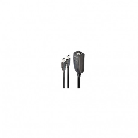 LINDY NET SWITCH KVM USB 2PORT/32165