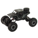 RC Rover 1:16 auto must kaugjuhitav puldiga