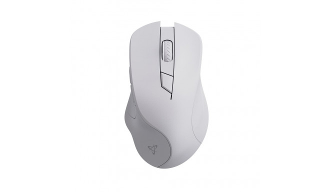 Sbox WM-308 White