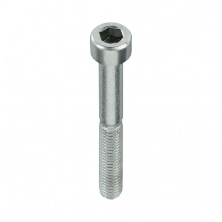 BOLT DIN912 M3X20 tsingitud (500)