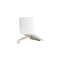 R-Go Tools Laptop and tablet stand R-Go Treepod, ergonomic and modular, adjustable, biobased