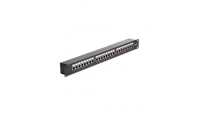 "DELOCK Netzwerk 48.26cm 19Zoll Kupplungs-Patchpanel 24 Port Cat.6"
