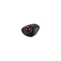 "Kensington Orbit Trackball Wireless mit Scroll-Ring. schwarz"