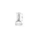 D3S Xenarc 35W PK32d-5 1tk