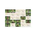 LAUAMÄNG CODENAMES DUET LT