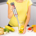 Zelmer ZHB4652 VARIO 0.5 L Immersion blender 1400 W Grey, Silver