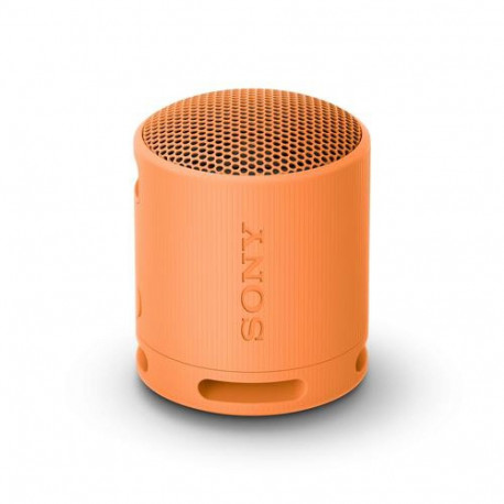 Sony SRS-XB100 - Wireless Bluetooth Portable Speaker, Durable IP67 Waterproof & Dustproof, 16 Ho