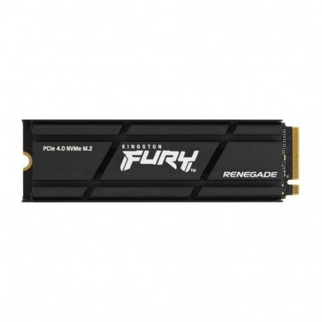 Kingston Technology 1000G RENEGADE PCIe 4.0 NVMe SSD W/ HEATSINK