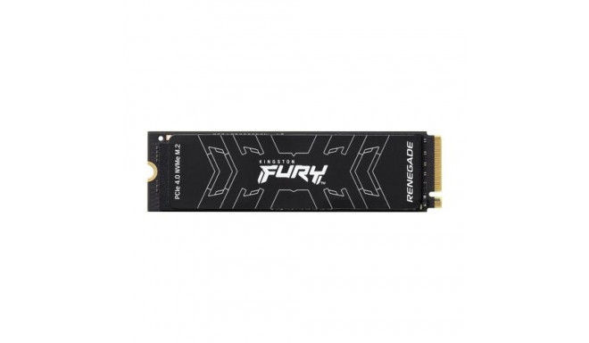 Kingston Technology 4000G FURY RENEGADE M.2 2280 NVMe SSD