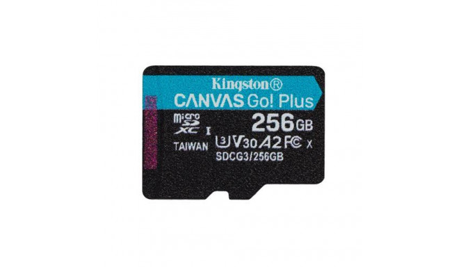 Kingston Technology Canvas Go! Plus 256GB microSDXC Canvas Go Plus 170R A2 U3 V30 Single Pack w/o AD