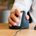 R-Go Tools R-Go HE Break ergonomic mouse, large, right, wired