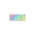 Savio Phenix WHITE GAT RED PUD keyboard Gaming USB + Bluetooth QWERTY US International