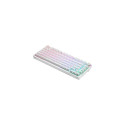 Savio Phenix WHITE GAT RED keyboard Gaming Bluetooth QWERTY International EER