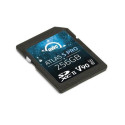 OWC Atlas S Pro 256 GB SDXC UHS-II