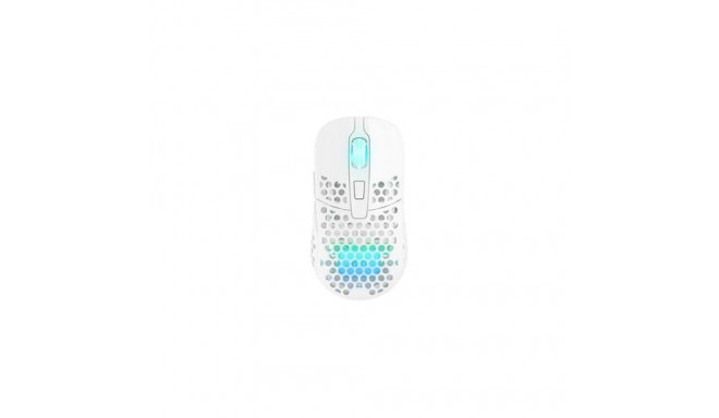 CHERRY XTRFY M42 RGB mouse Ambidextrous Gaming RF Wireless + USB Type-C Optical 19000 DPI