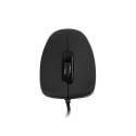 Modecom MC-M10 mouse Office Ambidextrous USB Type-A Optical 1000 DPI
