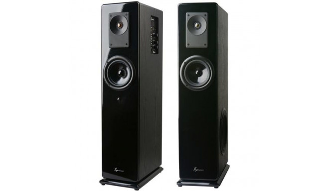 C-TECH VIRTUS loudspeaker Black Wired &amp; Wireless 100 W