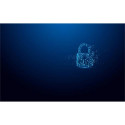 Kingston Technology IronKey 32GB Vault Privacy 50 AES-256 Encrypted, FIPS 197