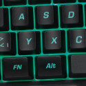 LogiLink ID0181 keyboard Gaming USB English Black
