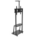 Techly ICA-TR33 signage display mount 177.8 cm (70&quot;) Black