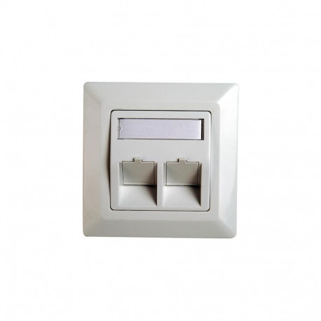 Telegärtner Frame for RJ45 adaptor Cat.5e, 45° outlet, double, 80x80 mm, alpine white