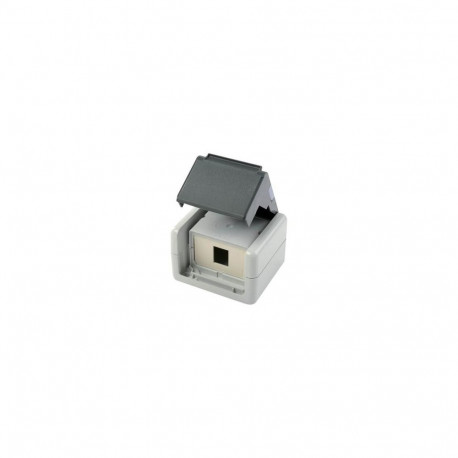 Telegärtner H02000A0069 socket-outlet Grey, White
