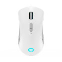 Lenovo Legion M600 Wireless Gaming mouse Ambidextrous RF Wireless + Bluetooth + USB Type-A Optical 1