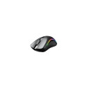 Glorious Gaming Glorious Model D 2 Wireless - Matte Black