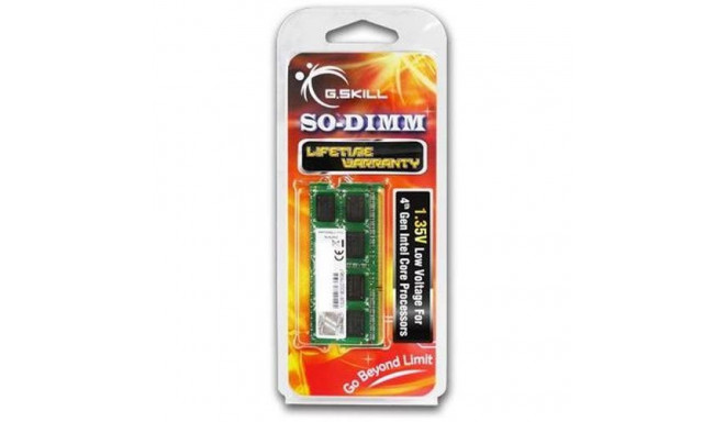 G.Skill 4GB DDR3-1600 memory module 1 x 4 GB