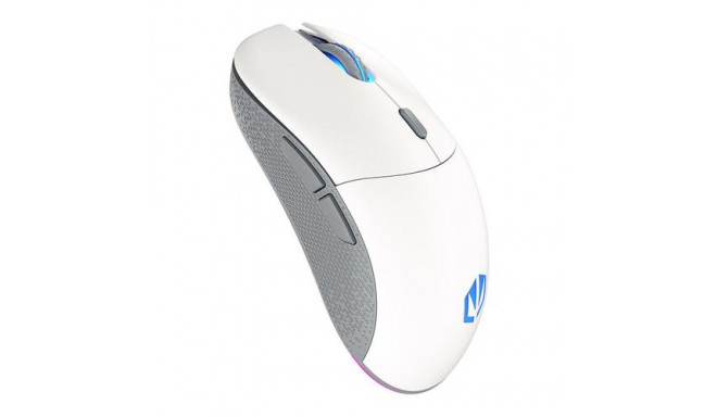 ENDORFY GEM Plus Wireless Onyx White mouse Gaming Ambidextrous RF Wireless + USB Type-C Optical 2600