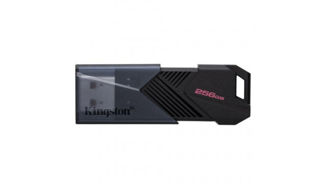 Kingston Technology DataTraveler 256GB Portable USB 3.2 Gen 1 Exodia Onyx