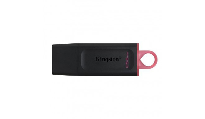 Kingston Technology DataTraveler Exodia - USB 3.2 Flash Drive