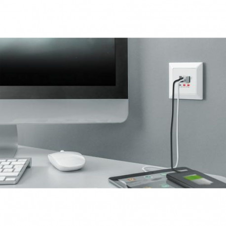 Digitus Socket with USB A &amp; USB-C™ Ports, flush mounted