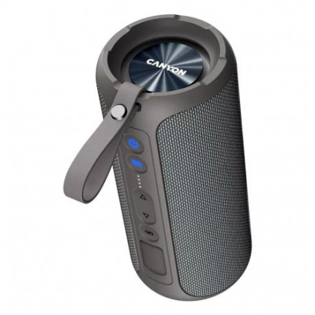 Canyon CNE-CBTSP15BG portable/party speaker Stereo portable speaker Beige 40 W