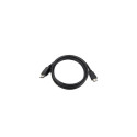 Gembird DisplayPort - HDMI, 3m HDMI Type A (Standard) Black