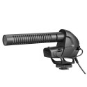 BOYA BY-BM3031 microphone Black Digital camera microphone