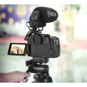 BOYA BY-BM3031 microphone Black Digital camera microphone
